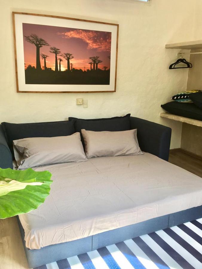 Estudio con cama extragrande y sofá cama