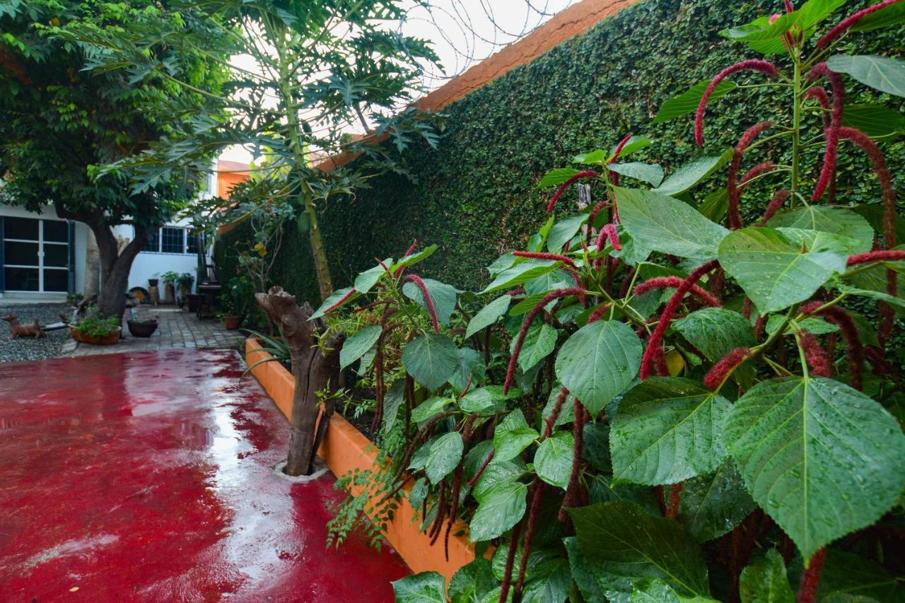 Villa con vistas al jardín