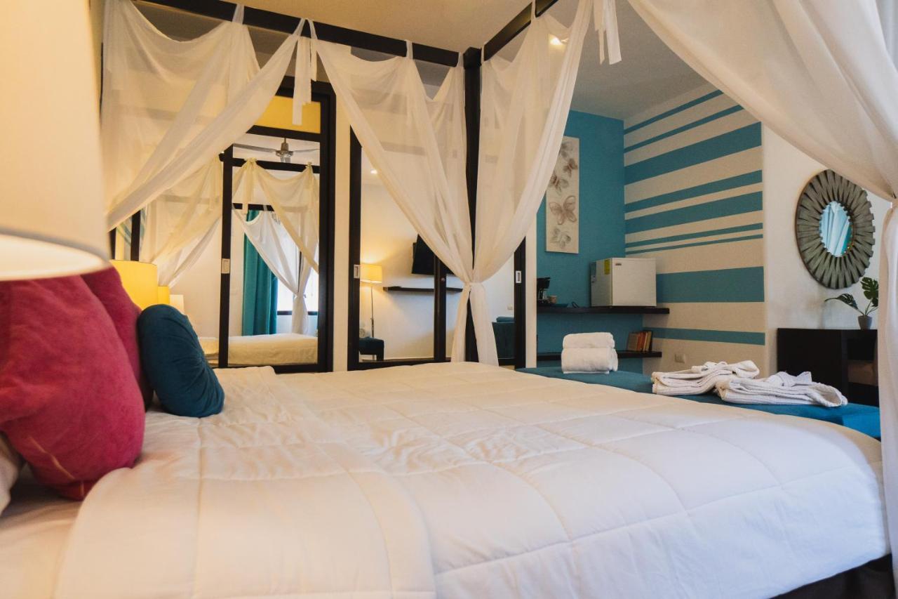 Suite Monarca