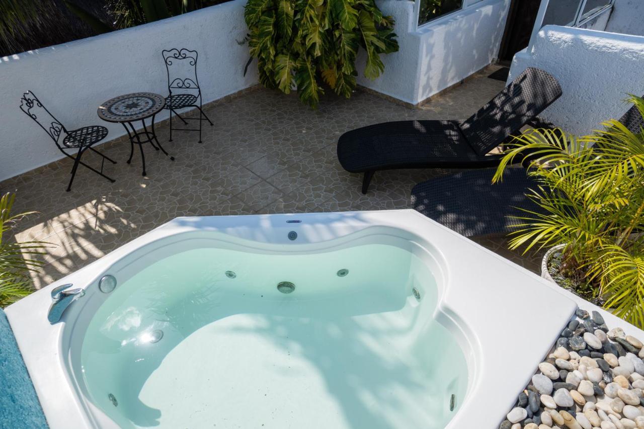 Suite Monarca