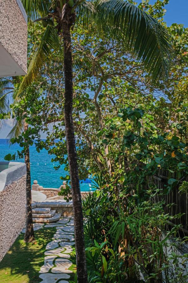 Suite con vistas al jardín