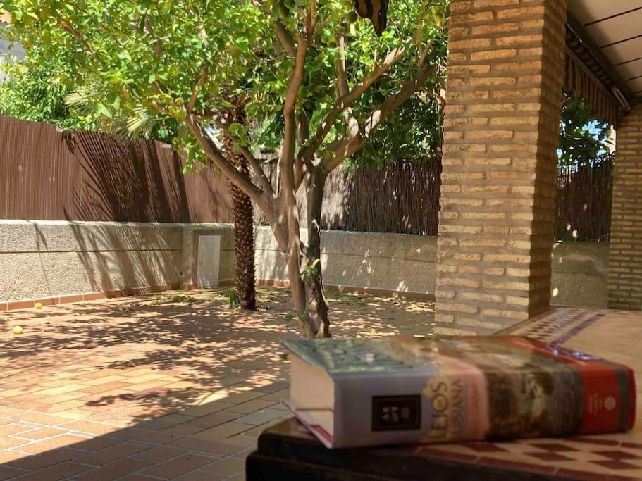 Casa de 3 dormitorios