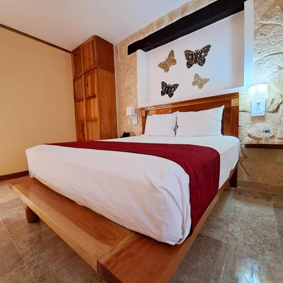 Suite Superior