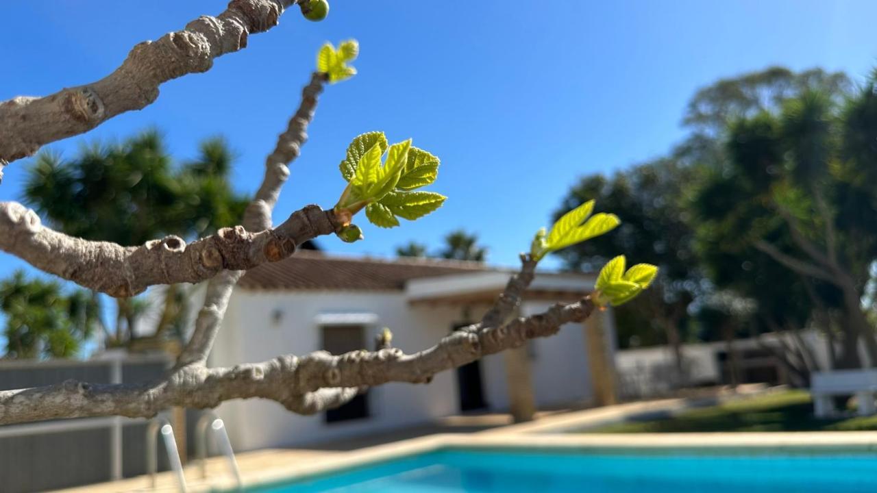 Villa,974662012:JPEG