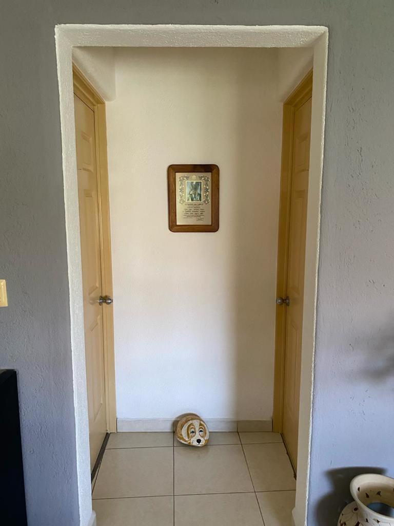 Habitación Estándar - Cama extragrande