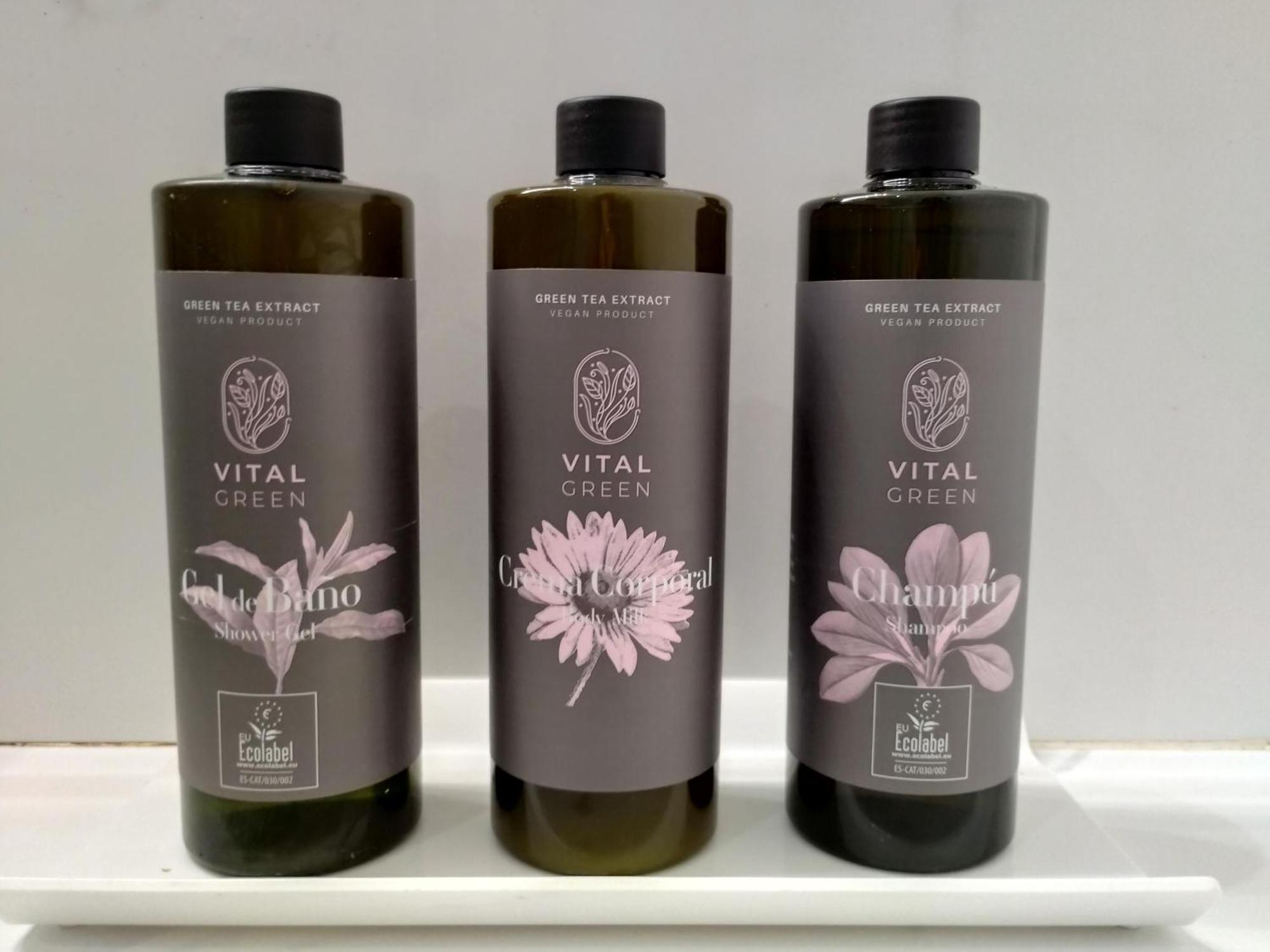 Habitación Doble con vistas a la piscina (3 adultos + 1 niño)