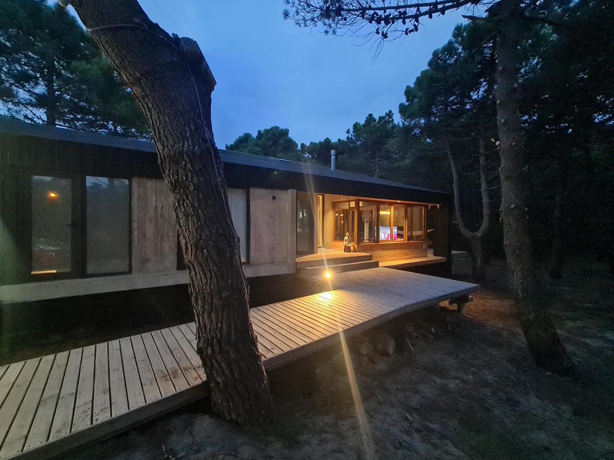 forest house