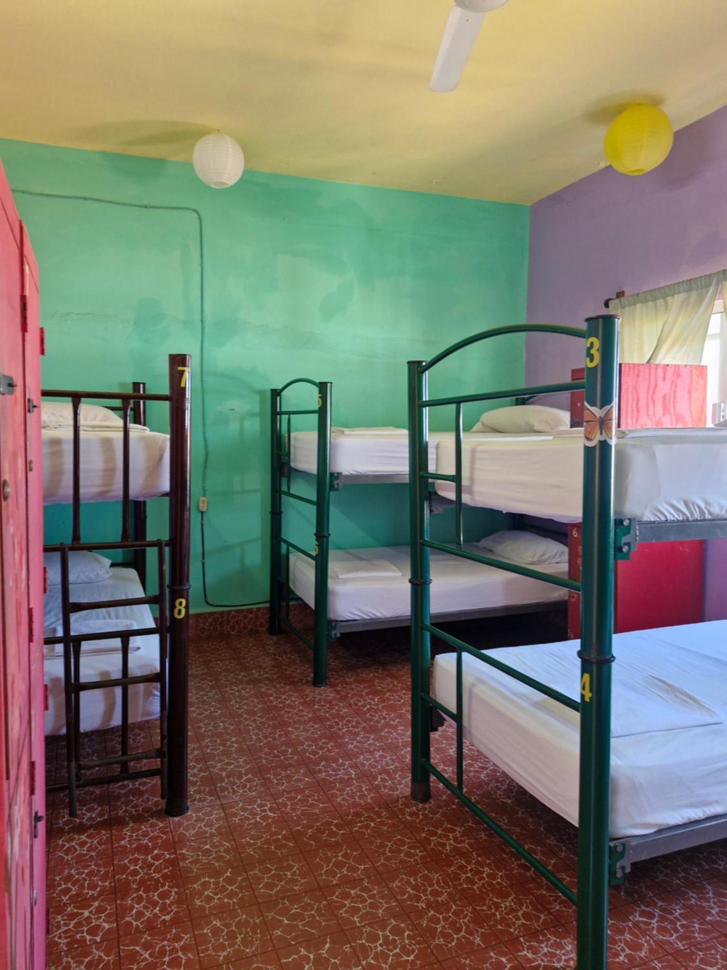 Cama Individual en habitación compartida femenina
