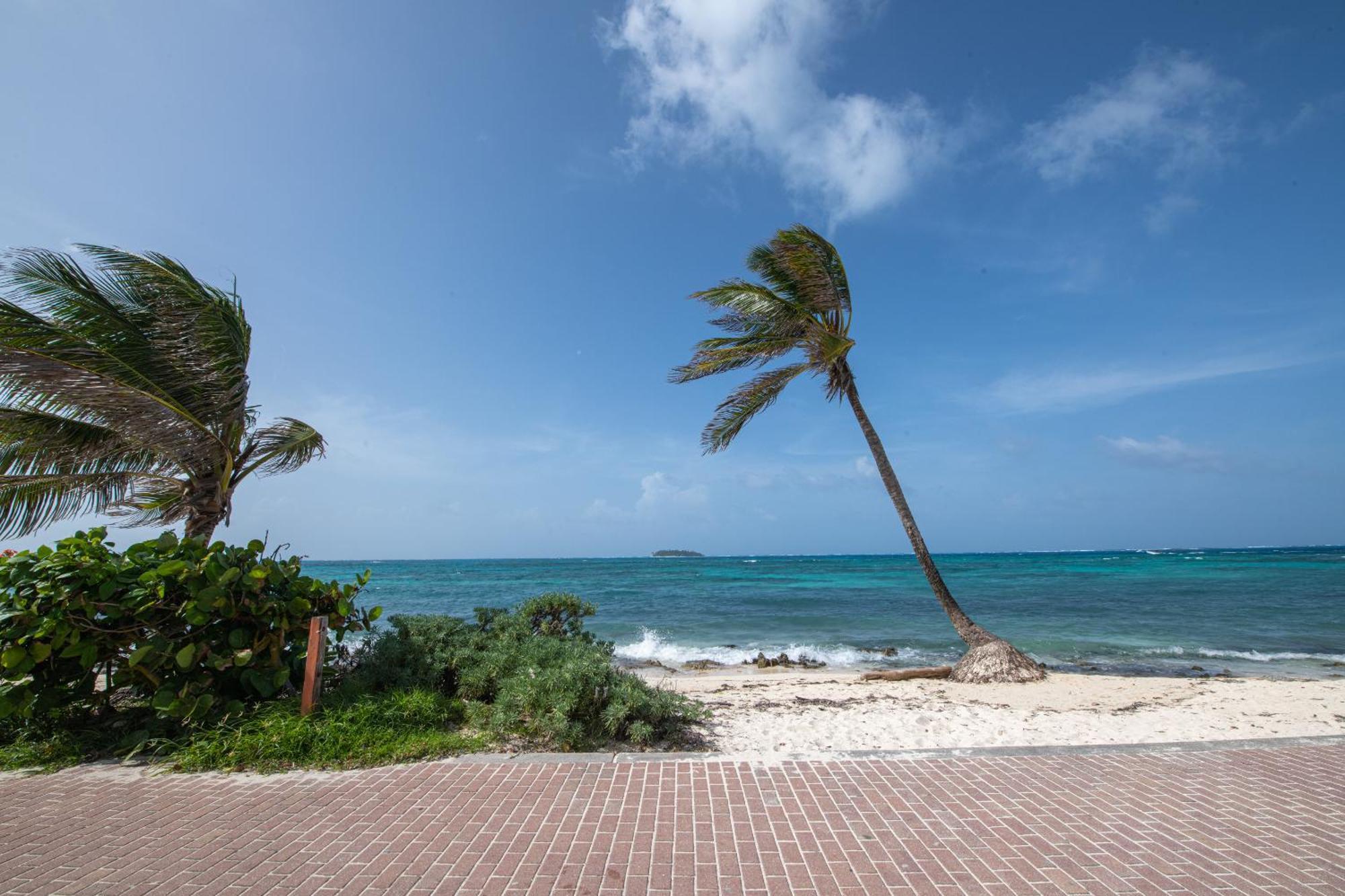 One-Bedroom Apartment,1663007049:JPEG