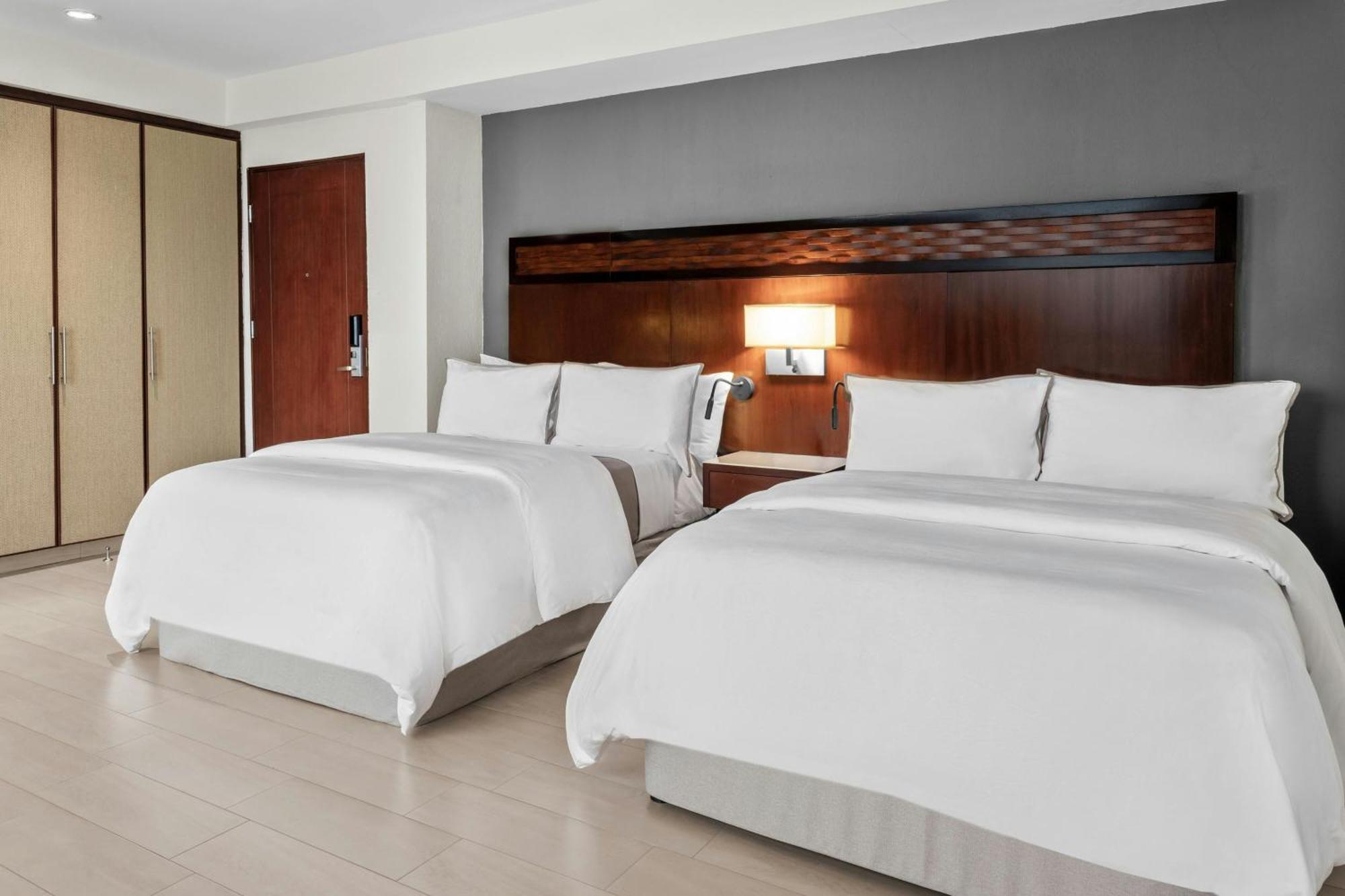 Deluxe Guest room 1 King Garden view