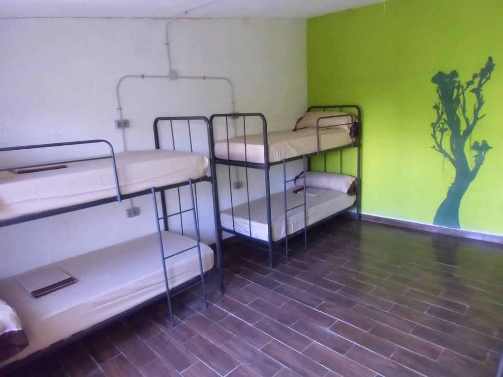 Cama en habitación compartida mixta de 8 camas