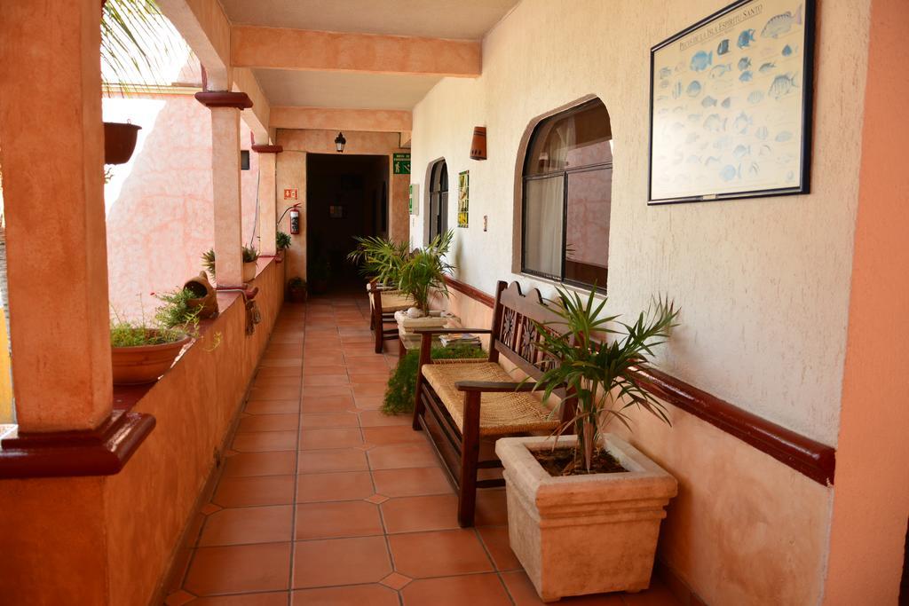 Habitación Estándar - Cama extragrande
