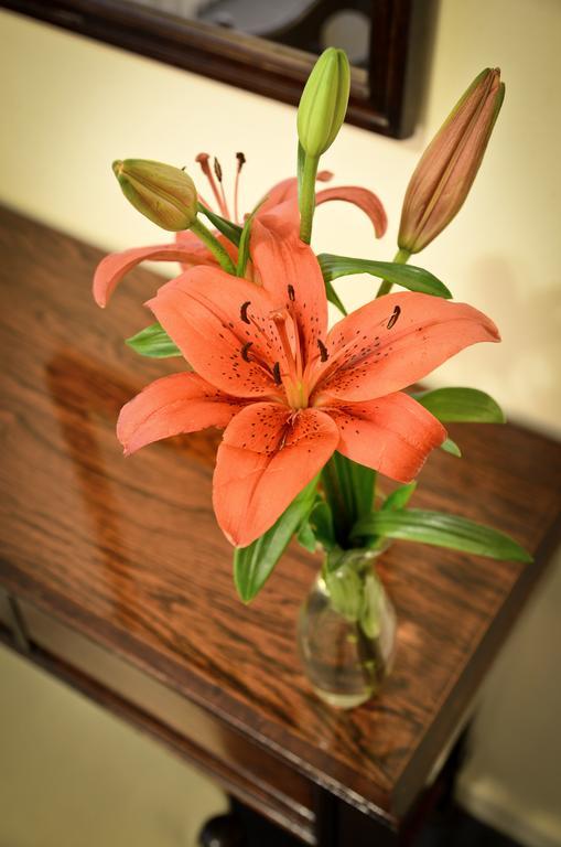 Standard Double Room,1282669693:JPEG