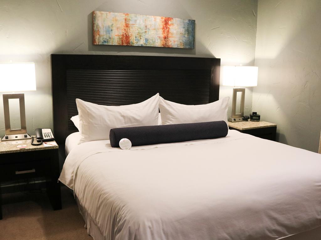 Junior Suite,393946581:JPEG