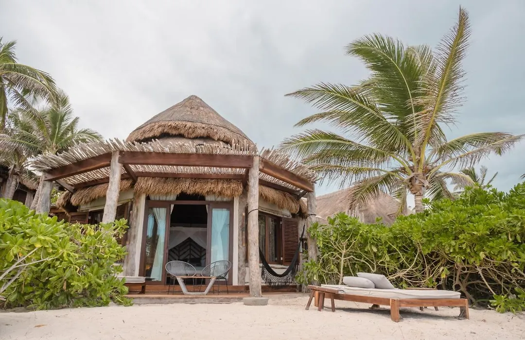 Delek Tulum-1