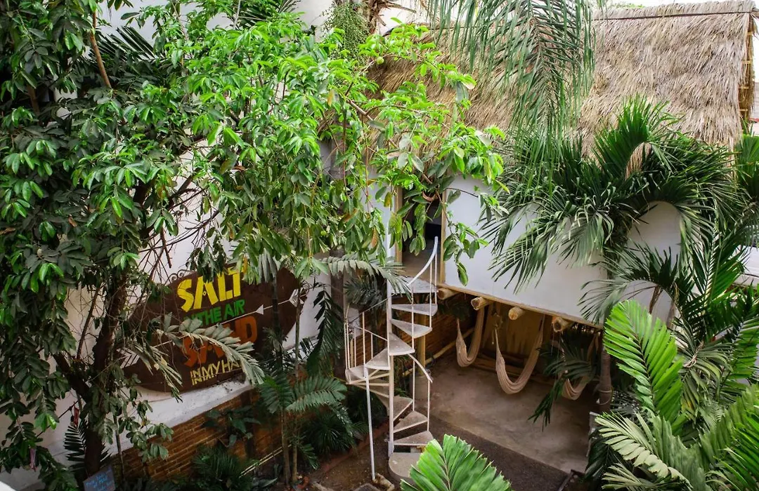 La Redonda Surf Hostel Sayulita-1