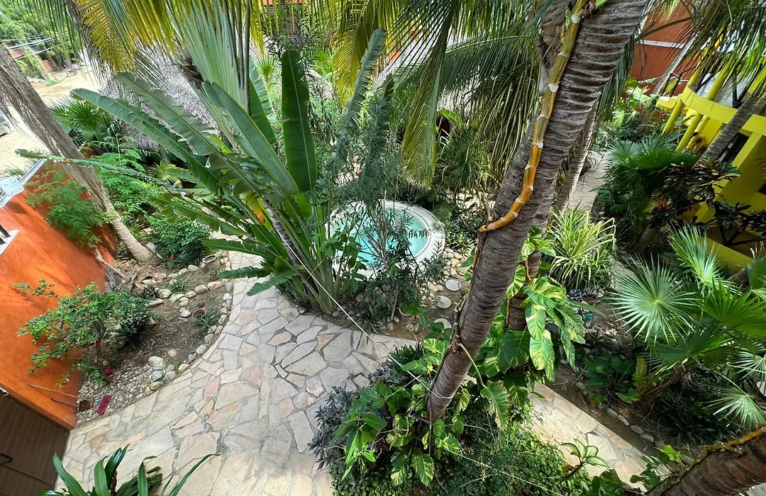 One Love Hostal Puerto Escondido-1