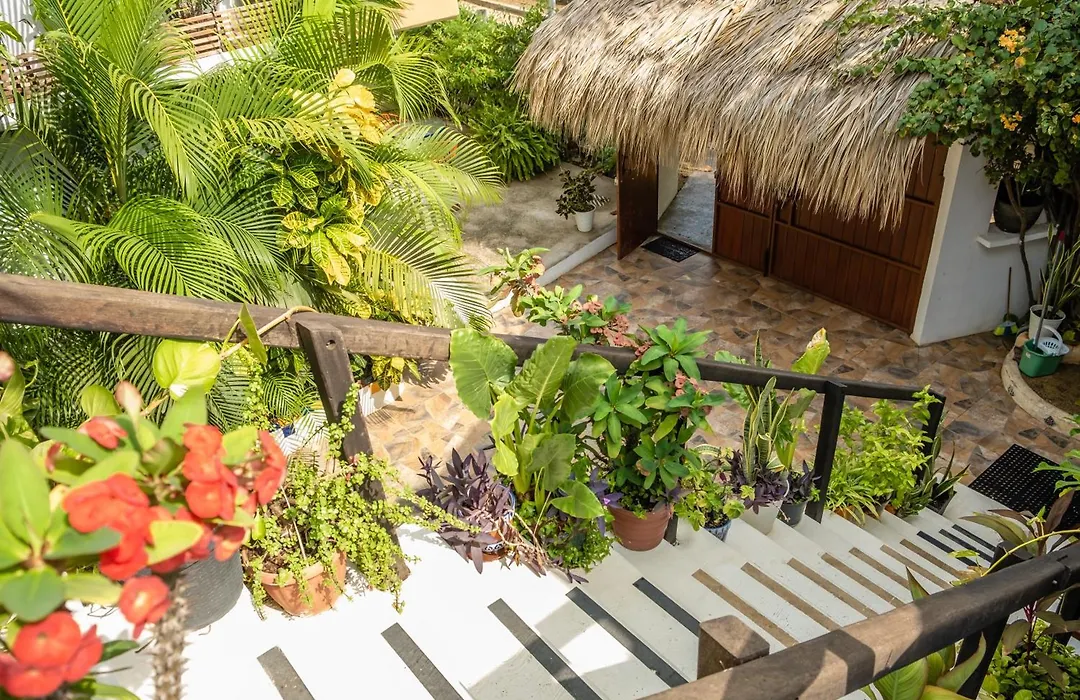 Casa Mazunte Tierra Viva-1
