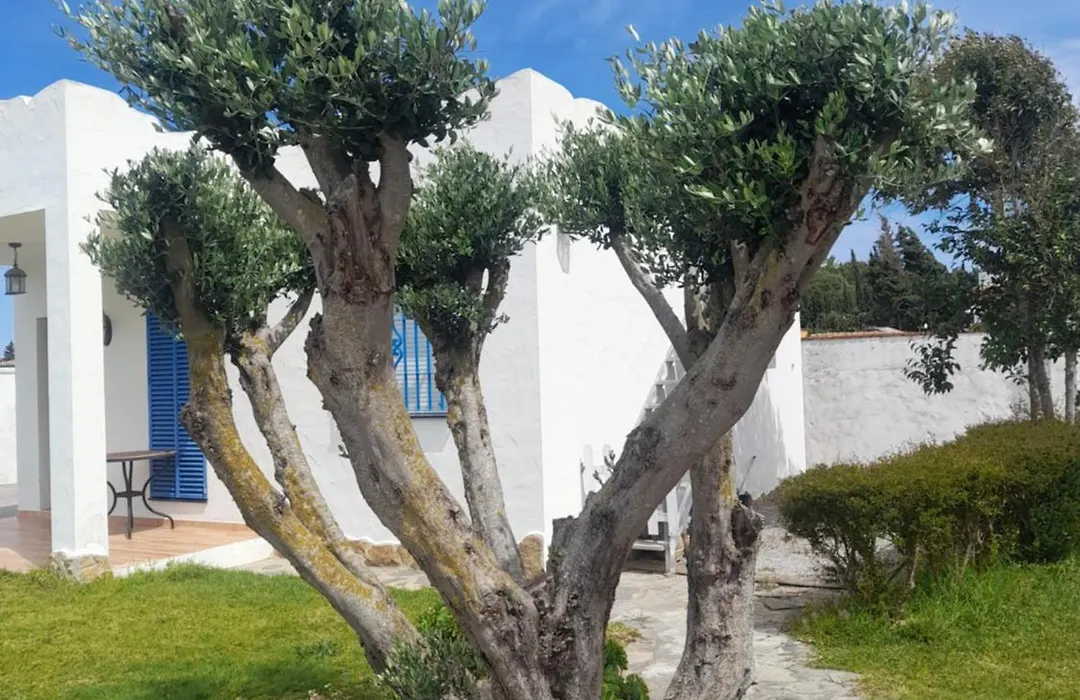Alojamientos Rurales Inma-1