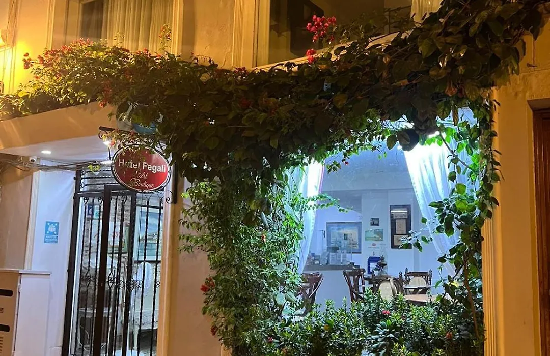 Hotel Fegali Art Boutique-1