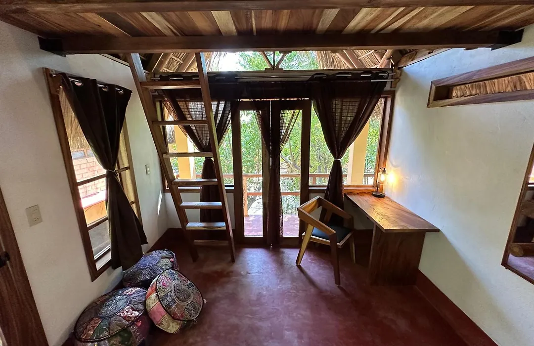 Casa AVA-1