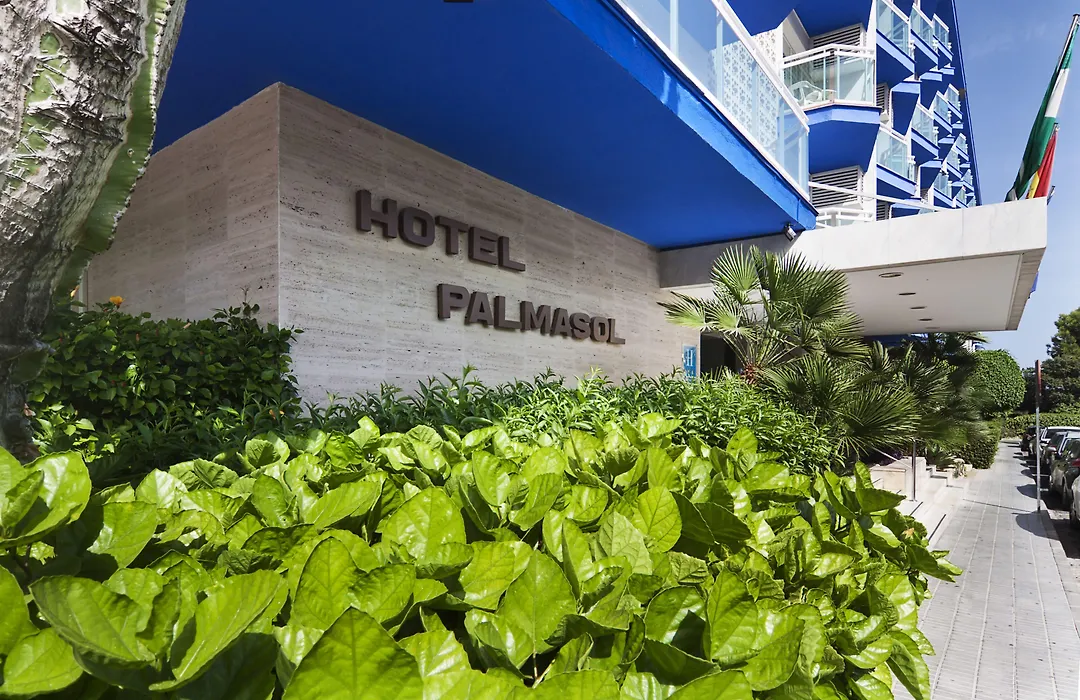 Palmasol-1