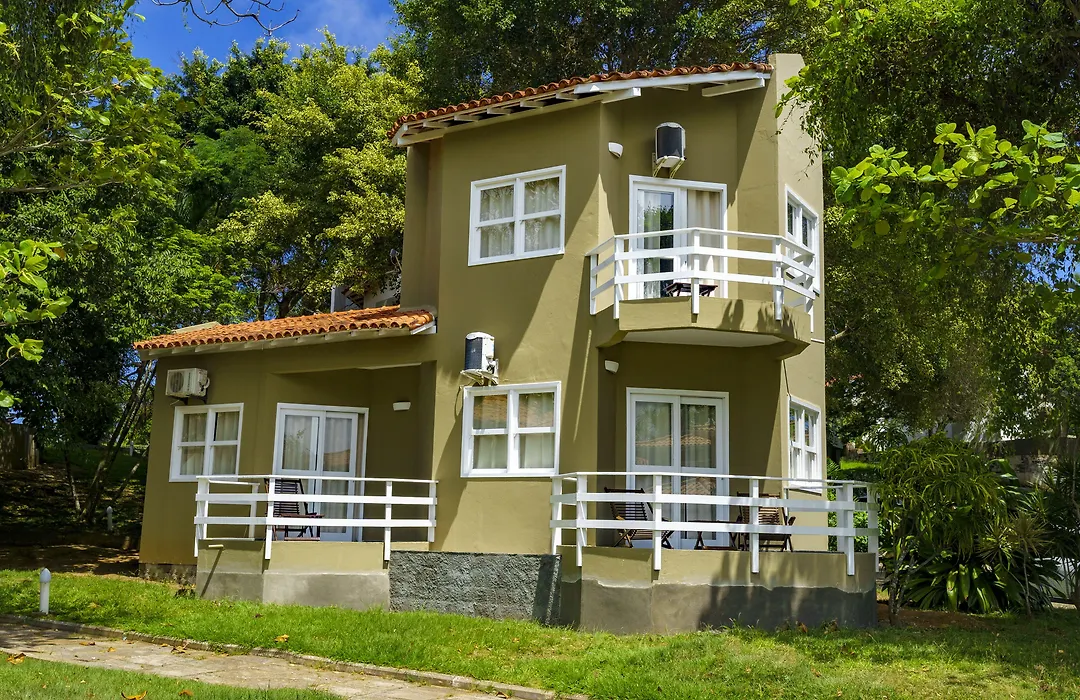 Apa Pau Brasil-1