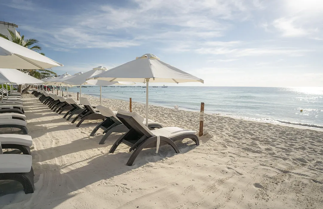 Mar Azul Suites 5Ta Av (Adults Only)-1