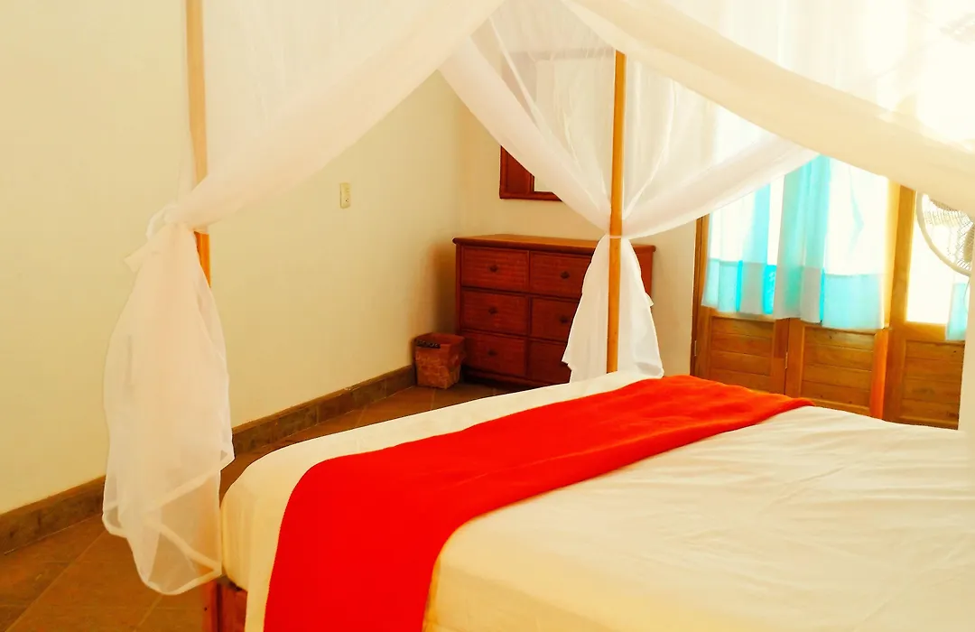 Cabañas Telayú-1