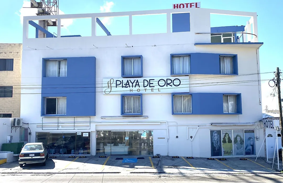 Hotel Playa de Oro - Enfrente de WTC y Plazas Comerciales-1
