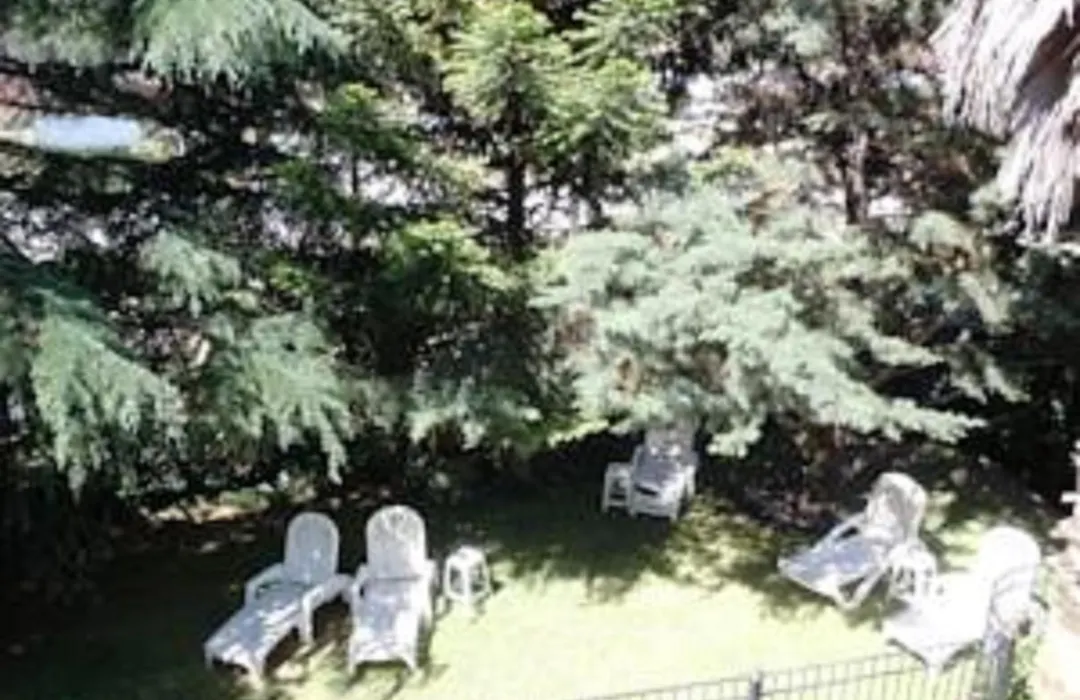 Las Araucarias-1