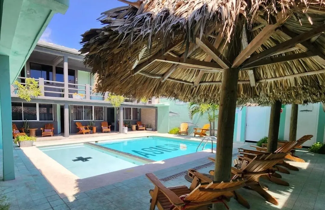 Mas Basico Hotel-1
