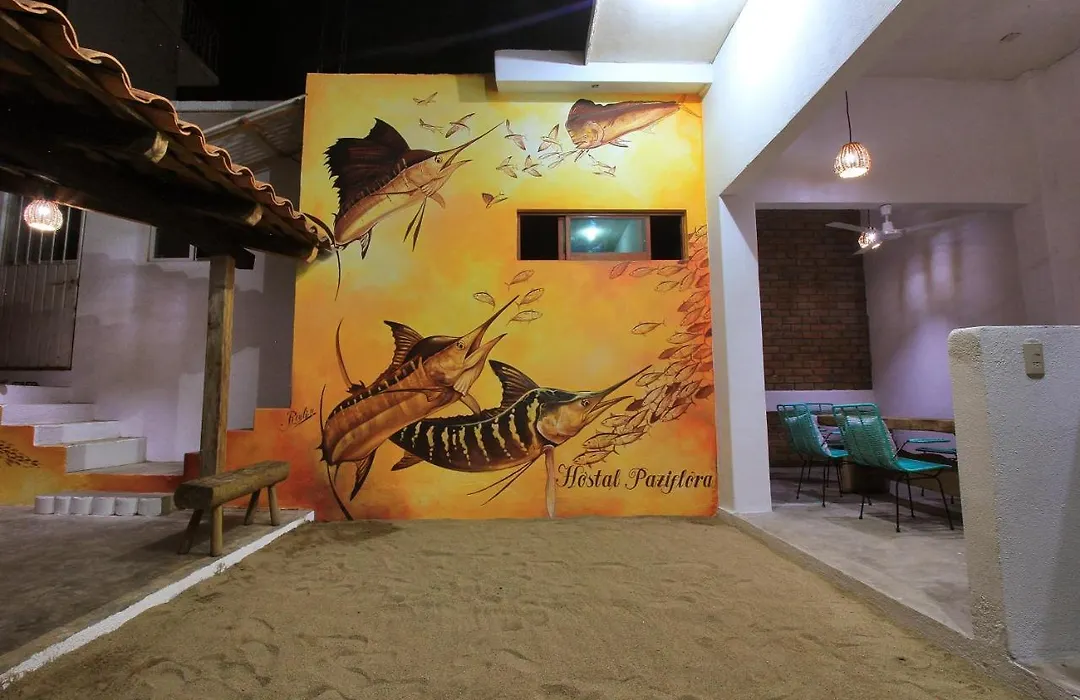 Paziflora Hostel -Starlink--1