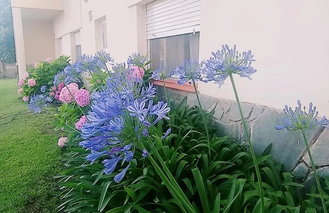 Hotel Tritones-1