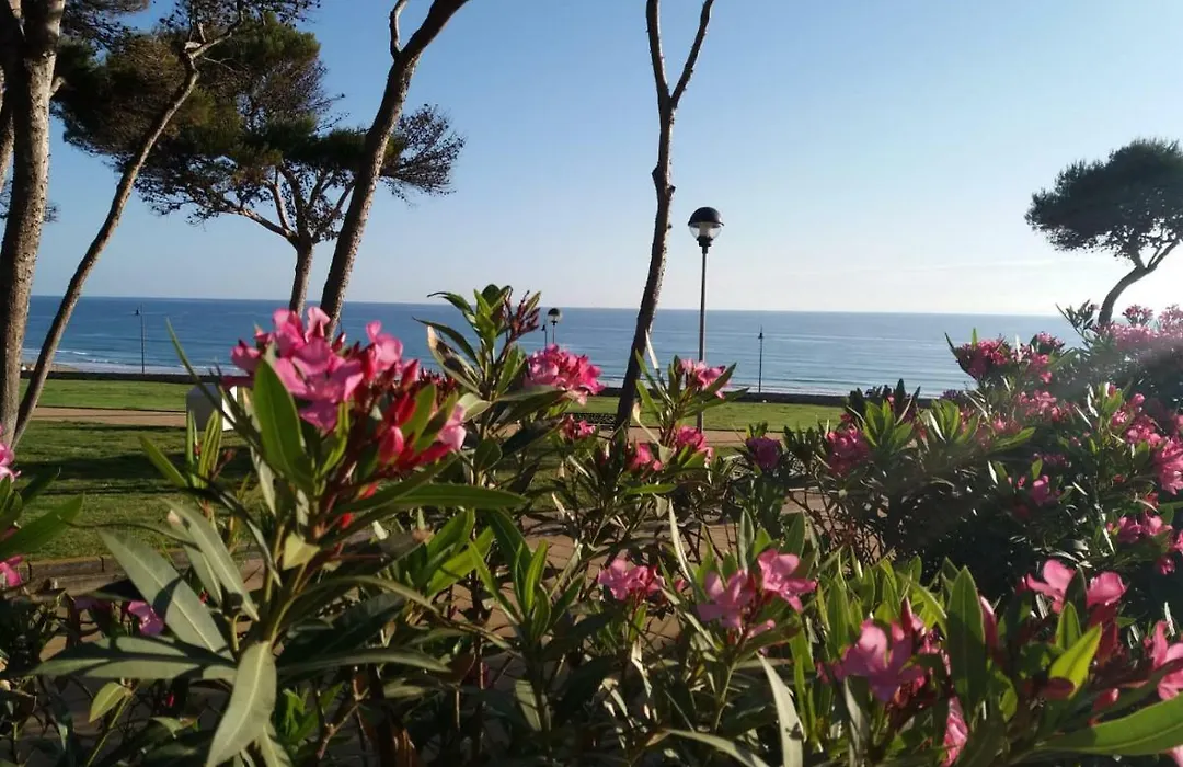 Atalaya a pie de playa-1