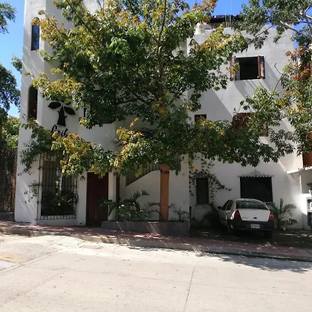 Ceiba Studios-2