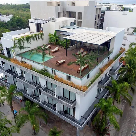Ah Xok suites 5a Avenida-3