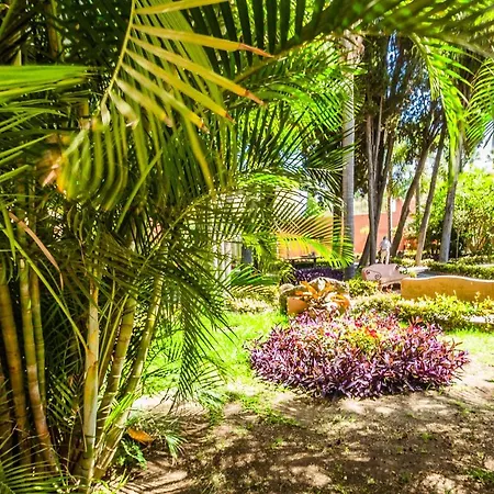 Hostal Tropical-3