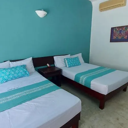 Delphinus Inn-2