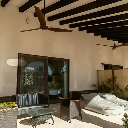 Orchid House Baja-3