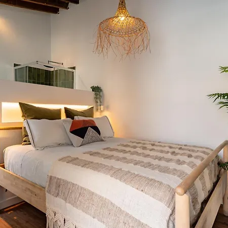The Urban Jungle Hostel-3