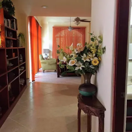 Casa Beard, Spacious Guest House With High Speed Wifi & Pool.-3