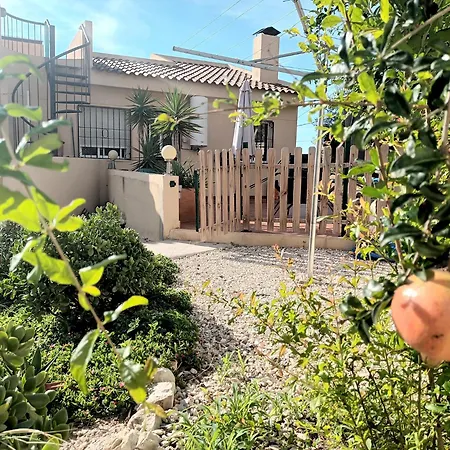 Guesthouse En Coveta Fuma- El Campello-3