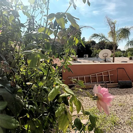 Guesthouse En Coveta Fuma- El Campello-2