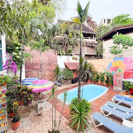 Ith Sayulita Amazing Surf Hostel-3