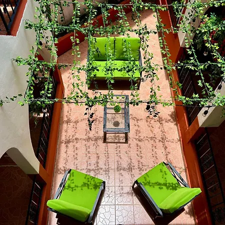 Hotel Coco de Mar Quinta Avenida-3