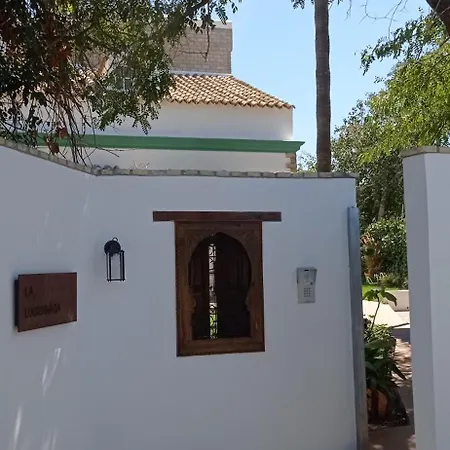 La Luciérnaga-3
