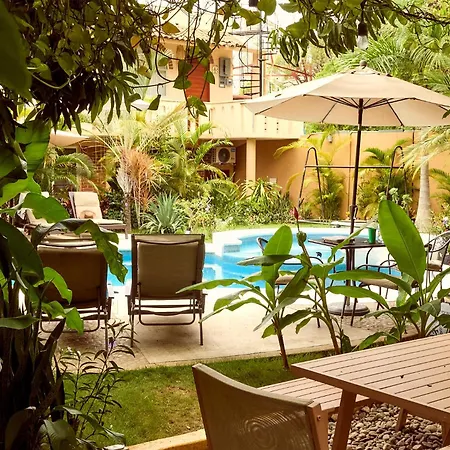 Casa Losodeli & Coworking- Adults Only-3
