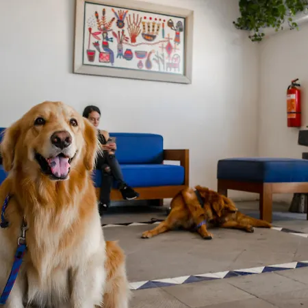 Puerto de Luna Pet Friendly&Family Suites-3