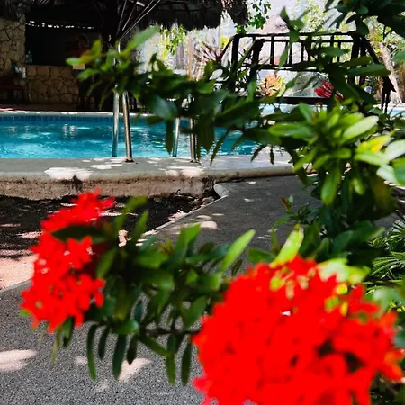 Mayan Art Hotel Boutique - 10Th Ave-3